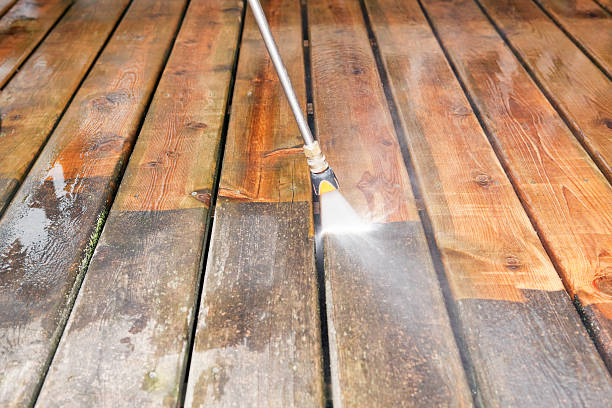 Best Deck Cleaning Services  in Sauk Centre, MN